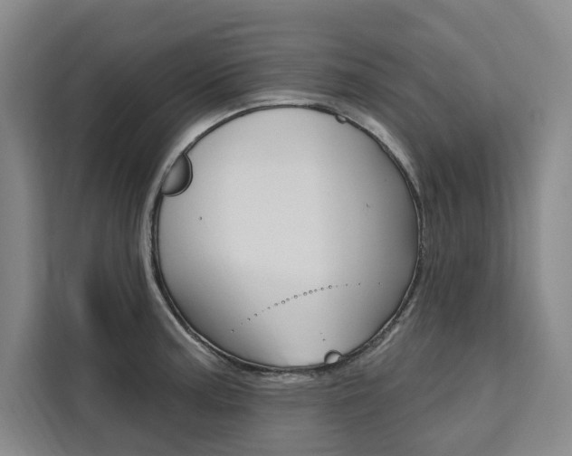 X0000111461187200907131212