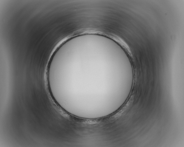 X0000111461190200907131212