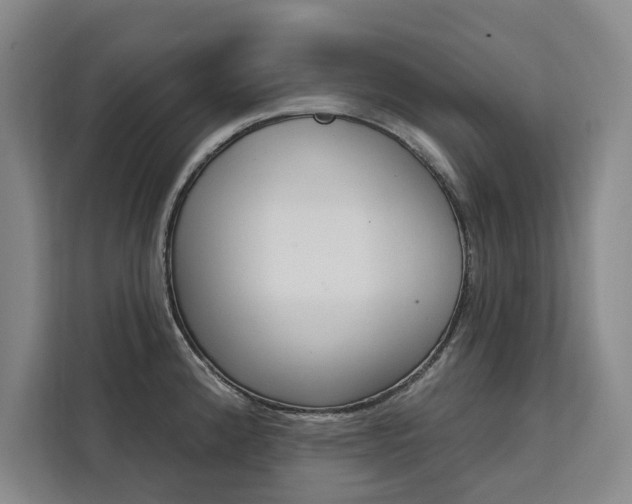 X0000111461192200907131212