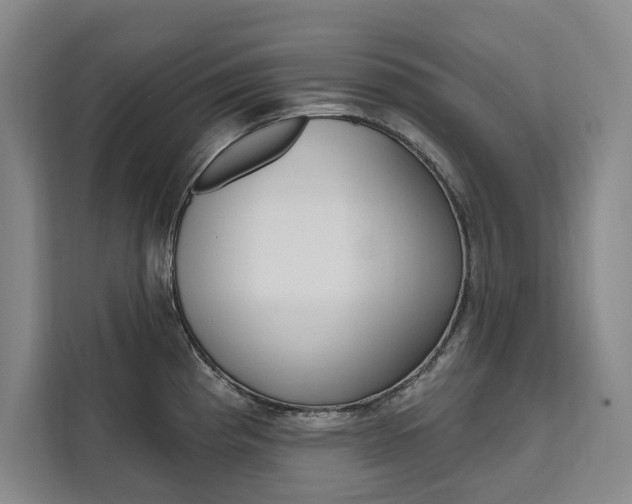 X0000111461193200907131212