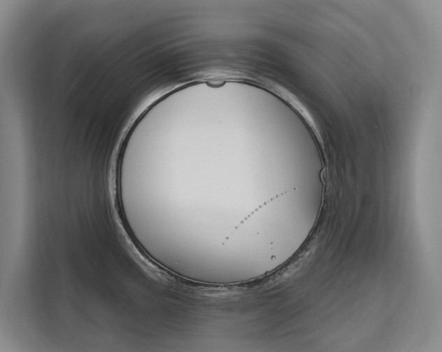 X0000111461195200907131212