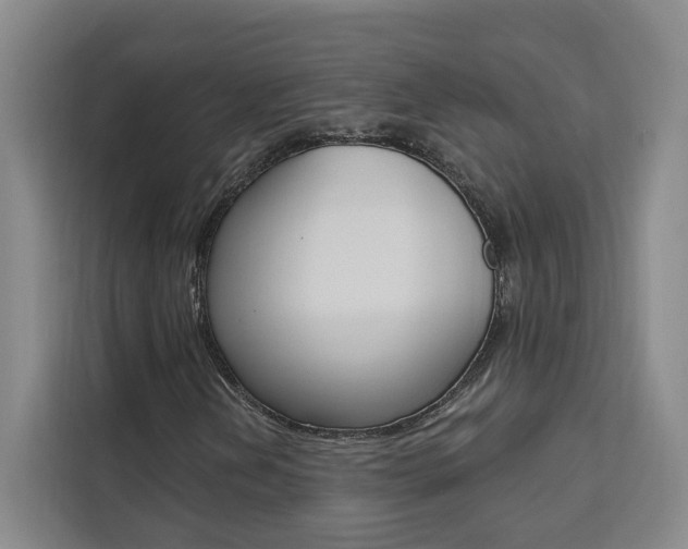 X0000111461202200907131211