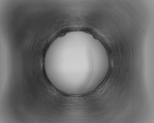 X0000111461204200907131211