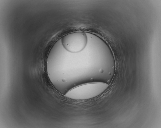 X0000111461205200907131211