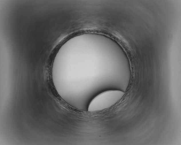 X0000111461208200907131211