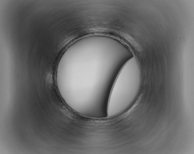 X0000111461209200907131211