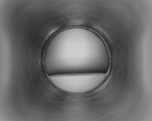 X0000111461210200907131211