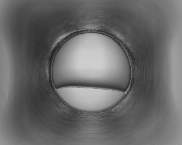 X0000111461214200907131211