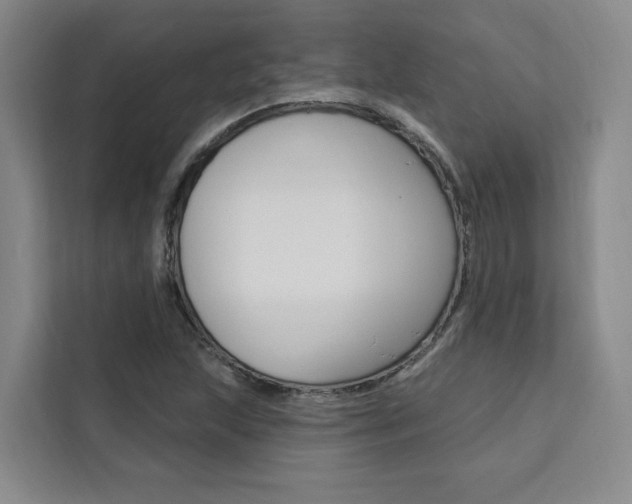 X0000111461215200907131211