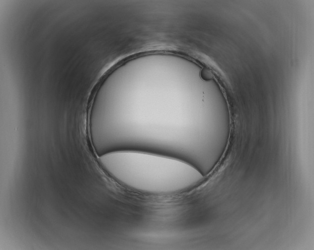 X0000111461220200907131211