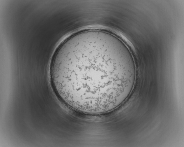 X0000111461229200907131211