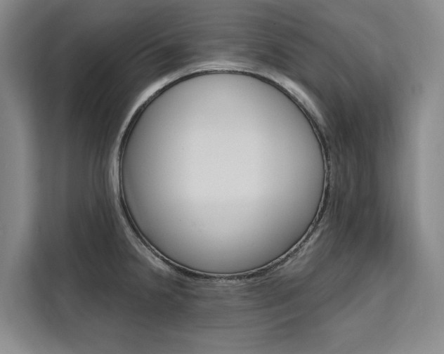 X0000111461238200907131212
