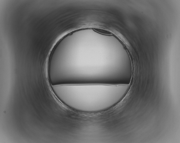 X0000111461246200907131212