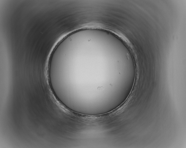 X0000111461248200907131212
