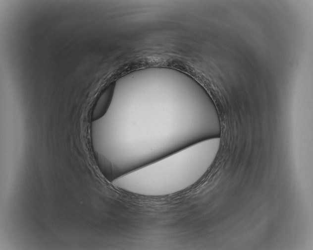 X0000111461249200907131211