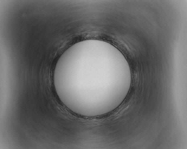 X0000111461250200907131211