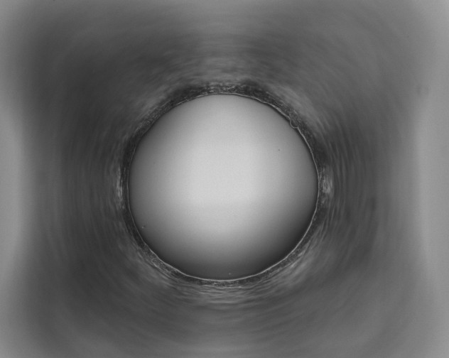 X0000111461252200907131211