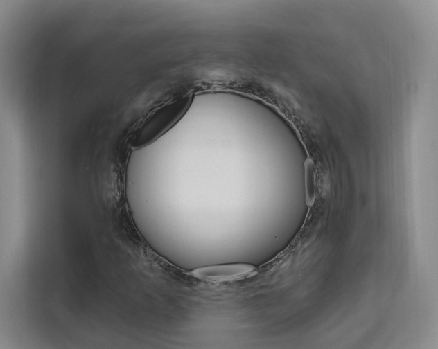 X0000111461253200907131211