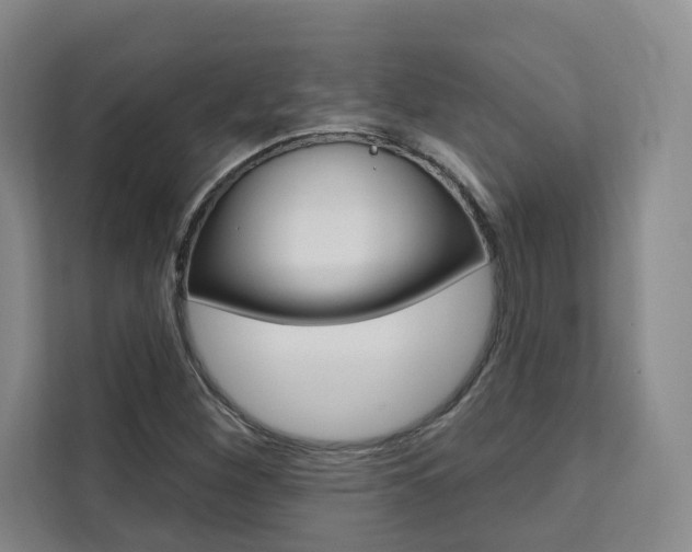 X0000111461260200907131211