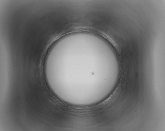 X0000111461261200907131211