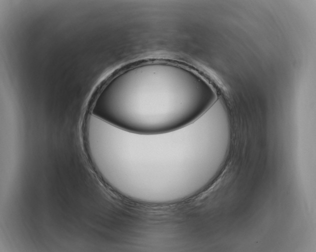 X0000111461264200907131211