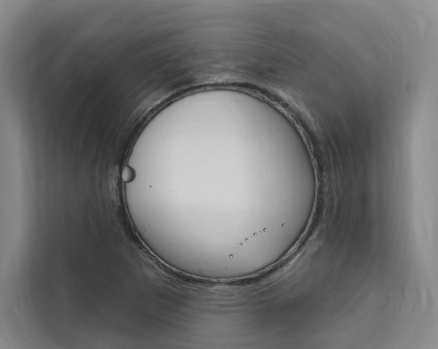 X0000111461265200907131211