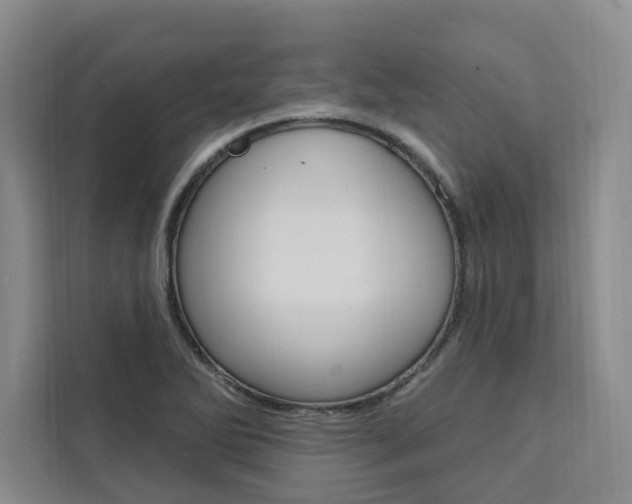 X0000111461270200907131211