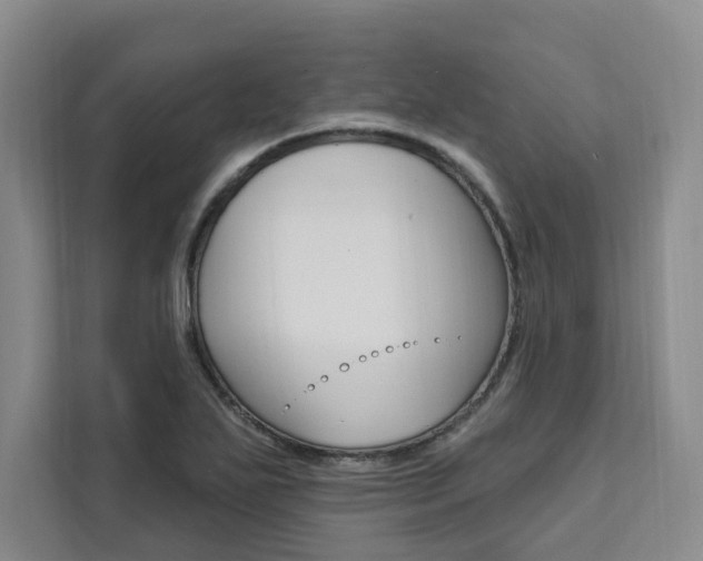 X0000111461271200907131211