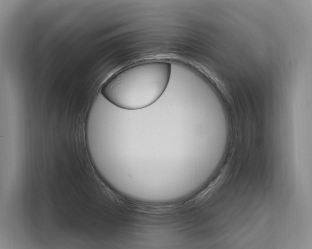X0000111461273200907131211