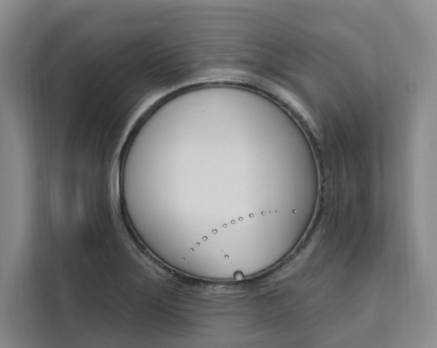 X0000111461275200907131211