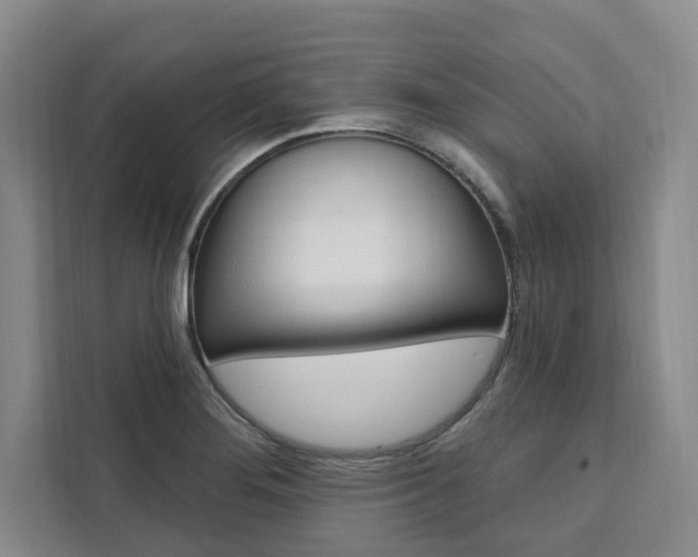 X0000111461276200907131211