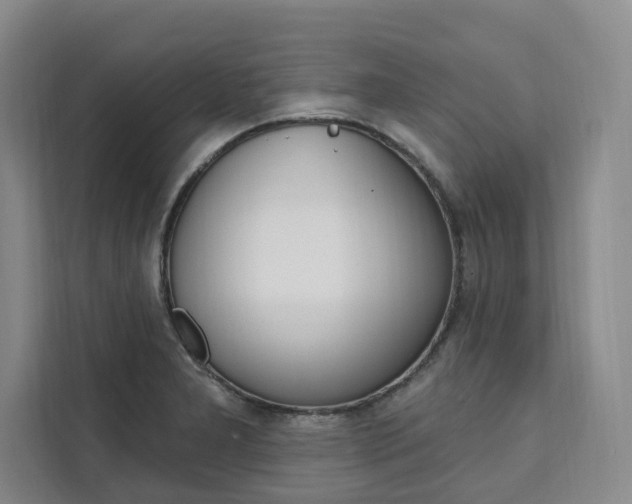 X0000111461277200907131211