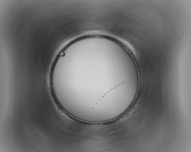 X0000111461279200907131211