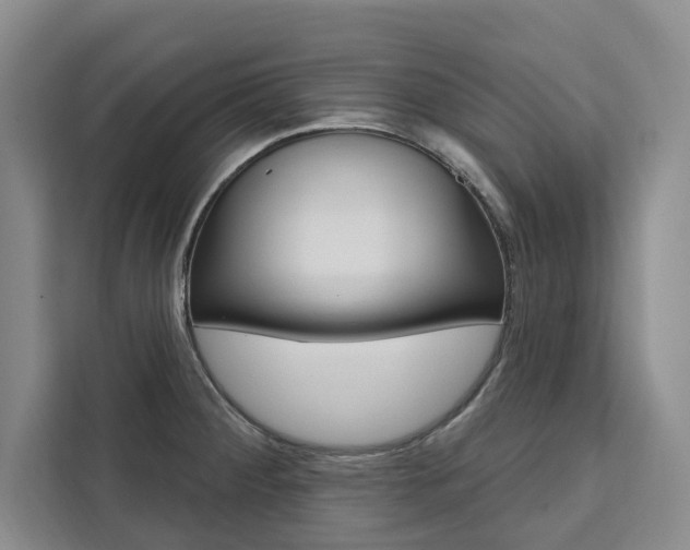 X0000111461284200907131211
