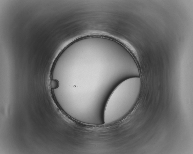 X0000111461287200907131211