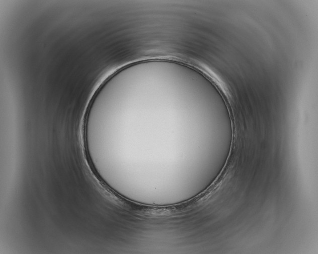 X0000111461291200907131211