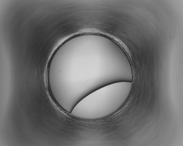 X0000111461295200907131210