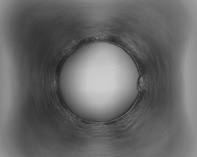 X0000111461298200907131210