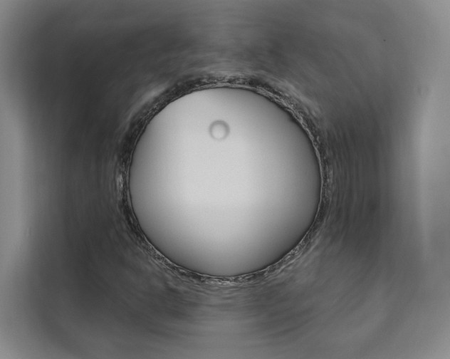 X0000111461302200907131210