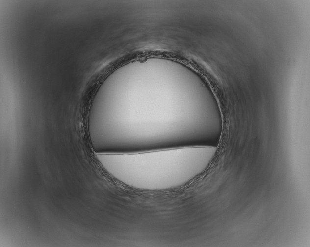X0000111461303200907131210