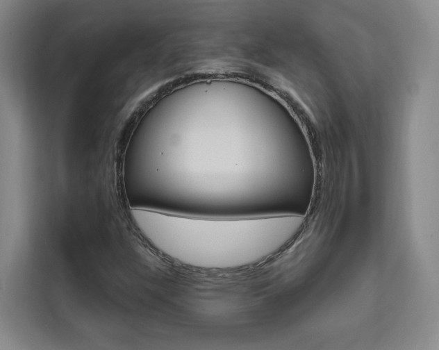 X0000111461304200907131210