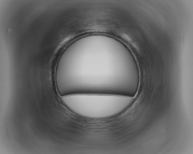 X0000111461307200907131210
