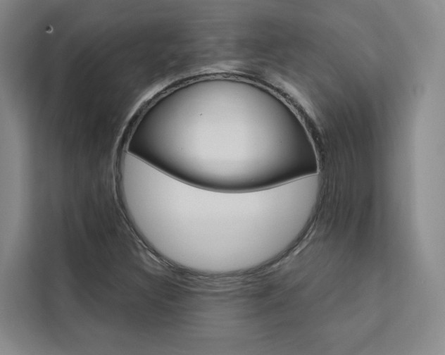 X0000111461308200907131210