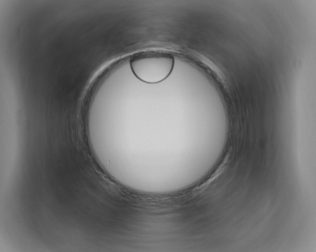 X0000111461310200907131210