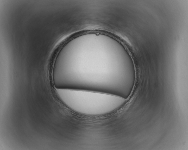 X0000111461311200907131210