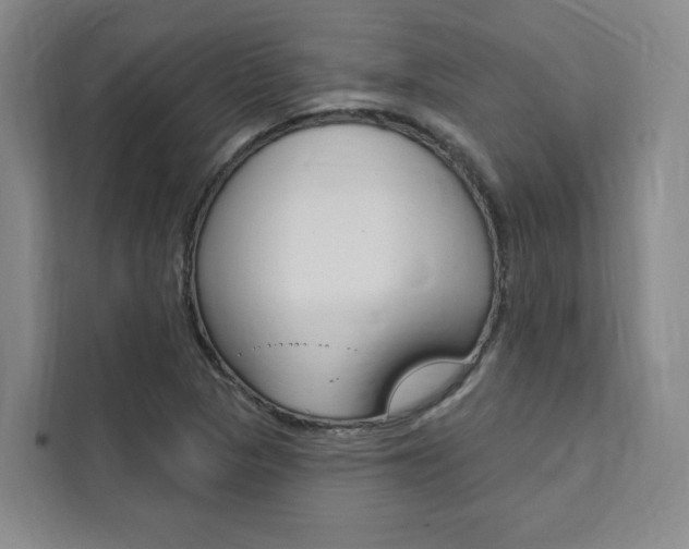 X0000111461313200907131210