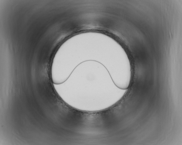 X0000111461314200907131210