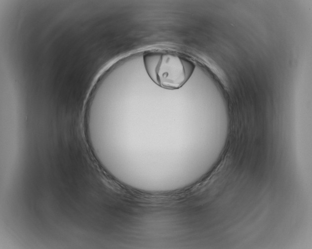 X0000111461316200907131210
