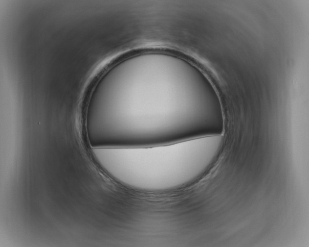 X0000111461319200907131210