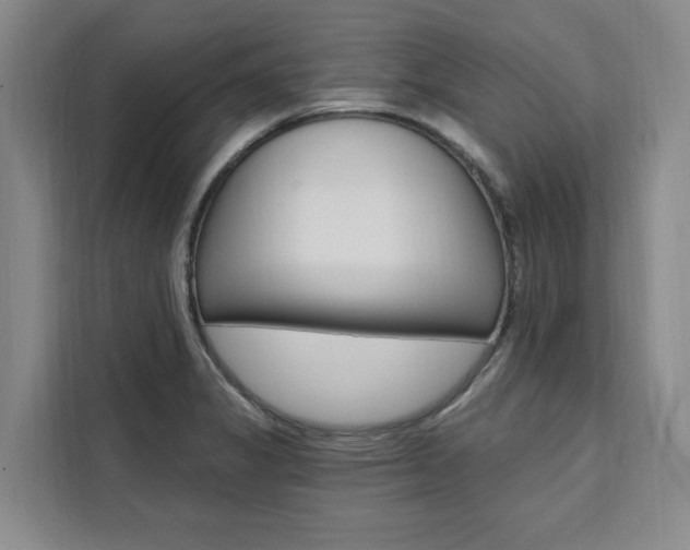 X0000111461325200907131210